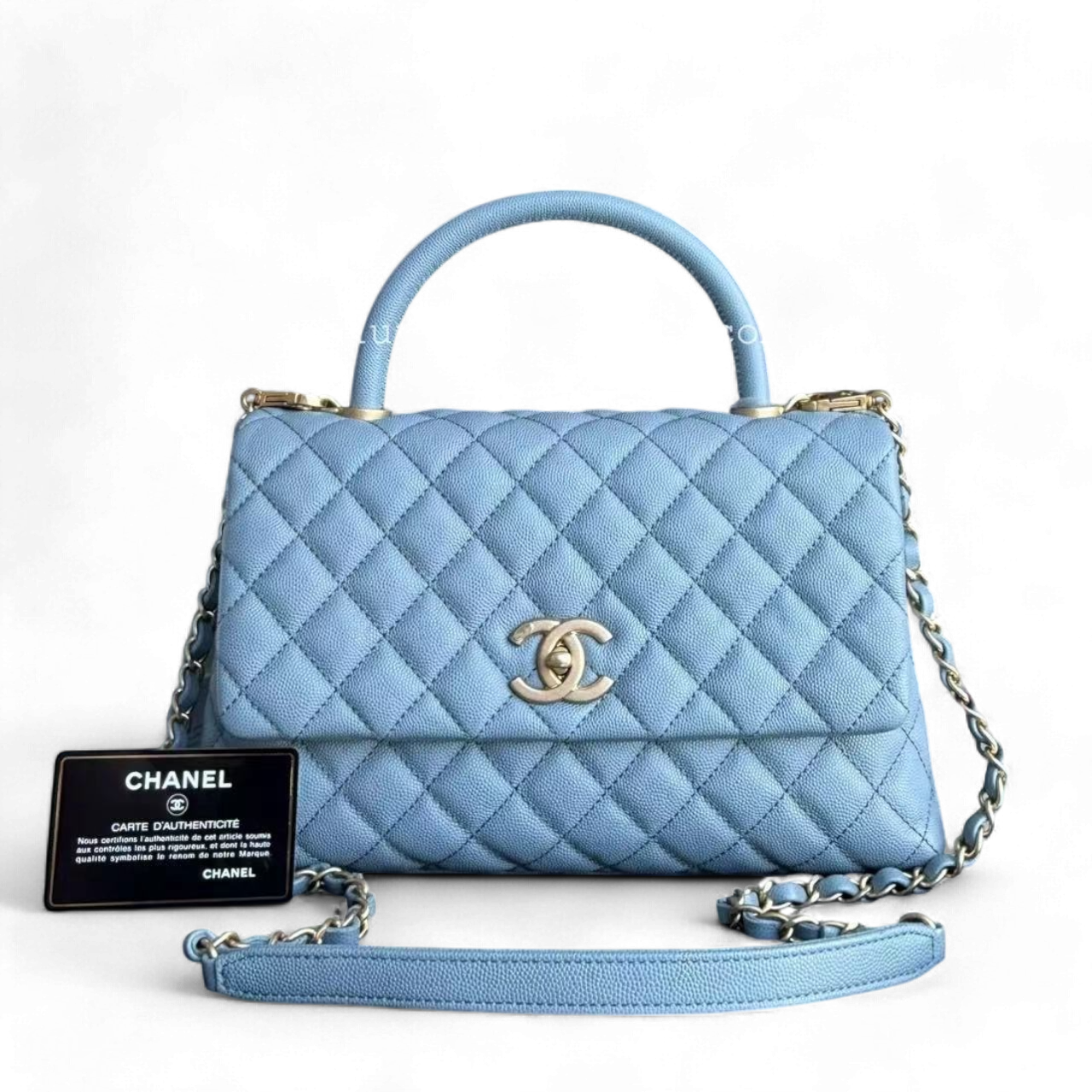 Chanel Medium Handbag - EworeBags