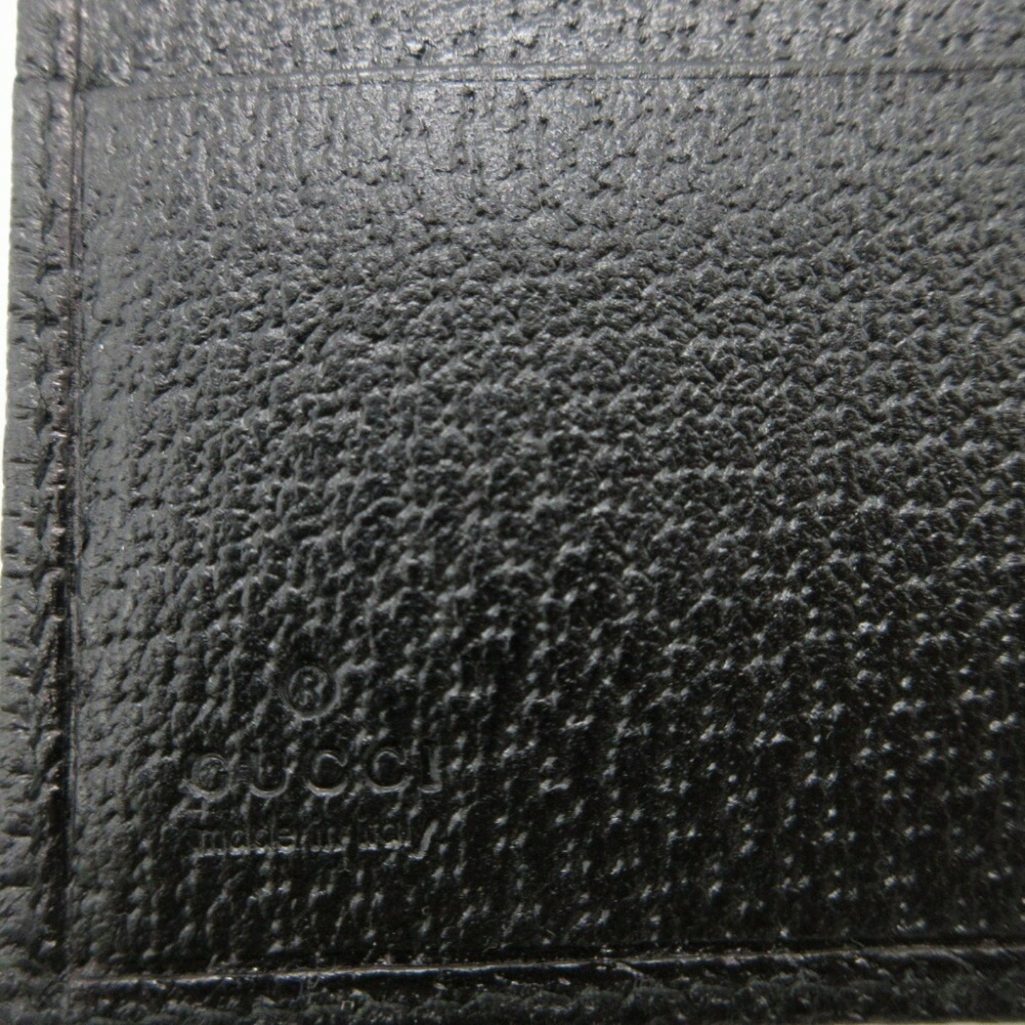 Gucci GG canvas