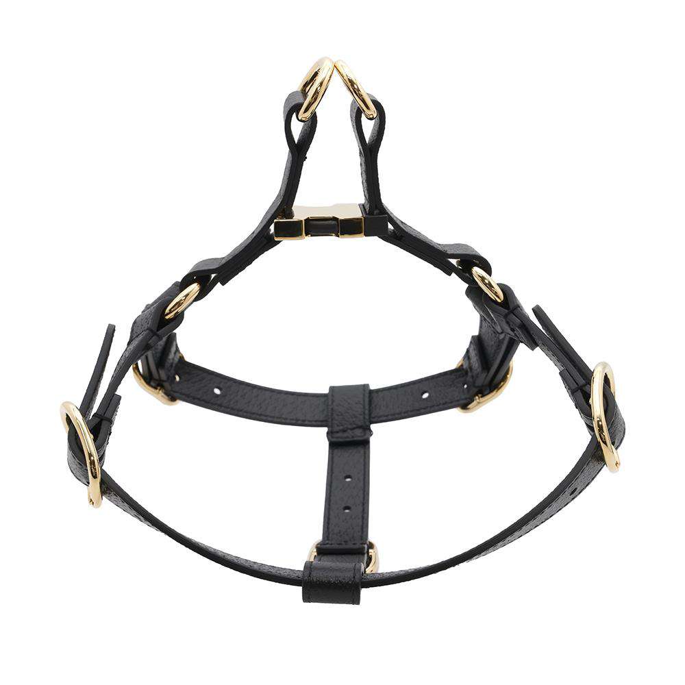 GUCCI Pet Harnesses Black692963 Leather Size S