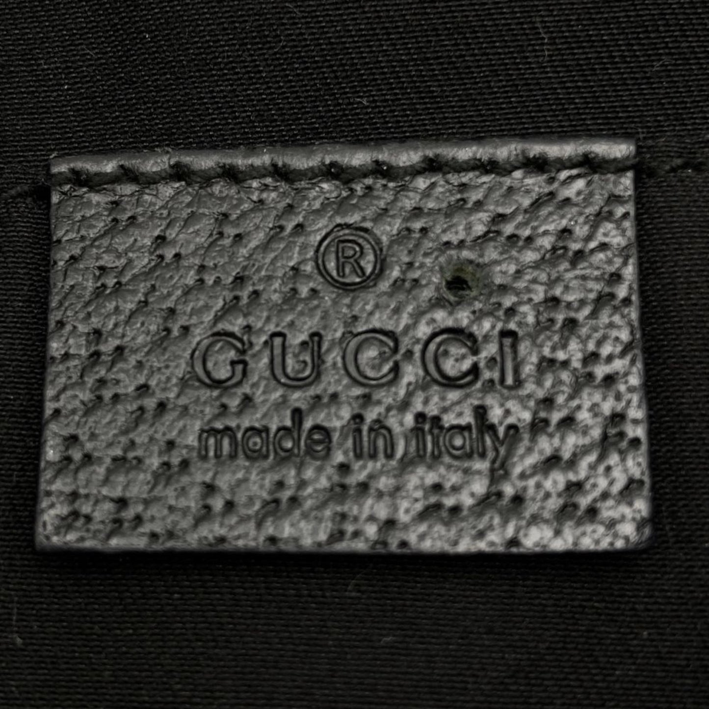 Gucci GG canvas