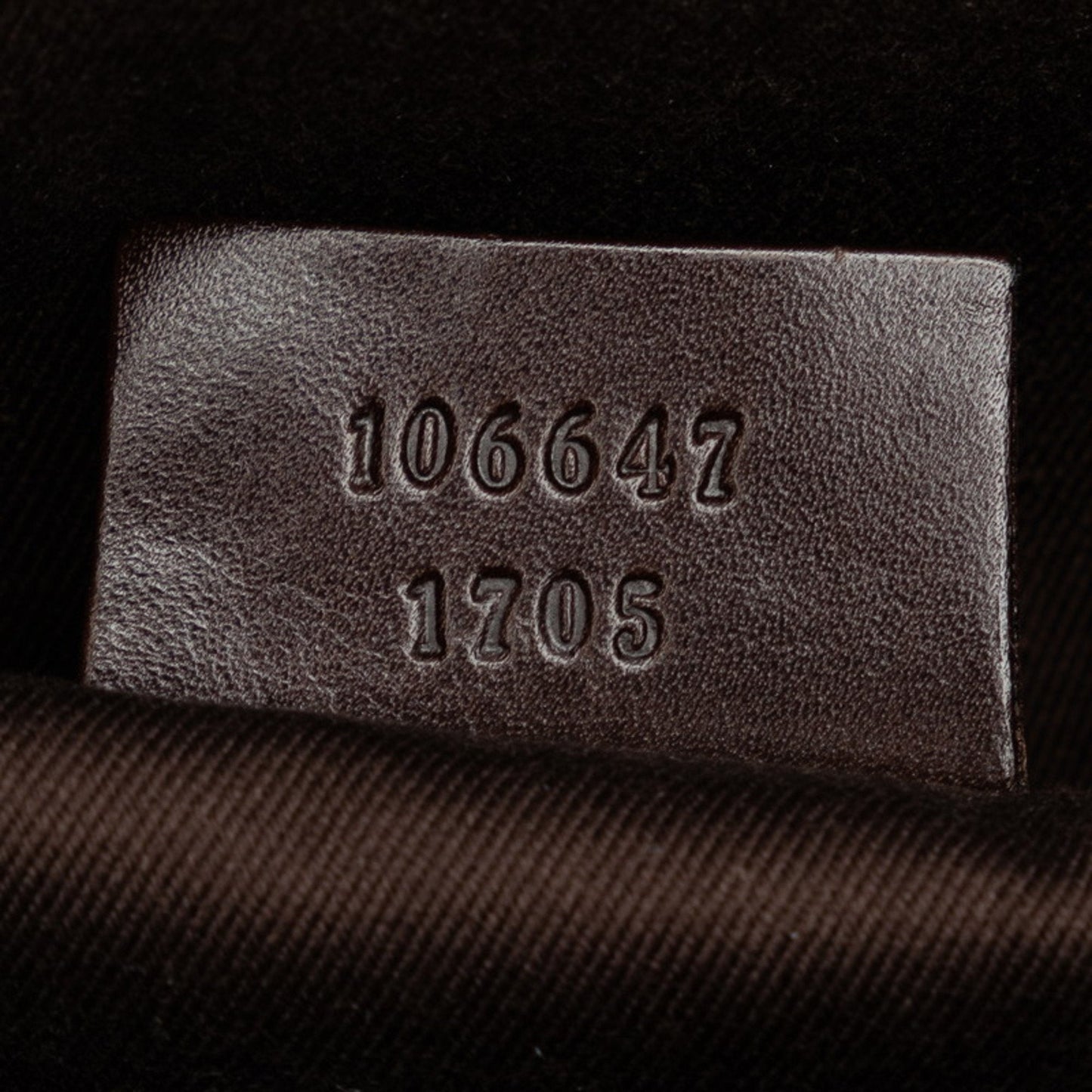Gucci GG canvas