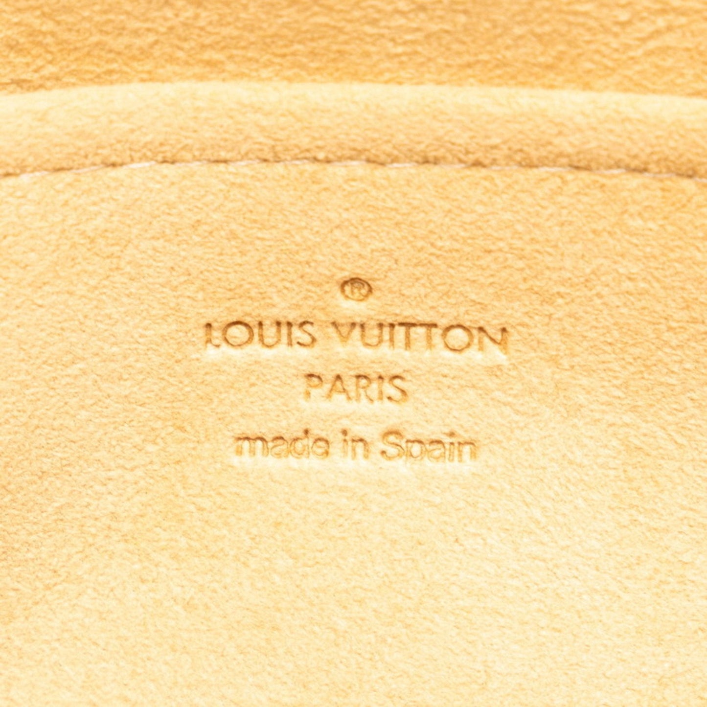 Louis Vuitton Pochette Twin GM