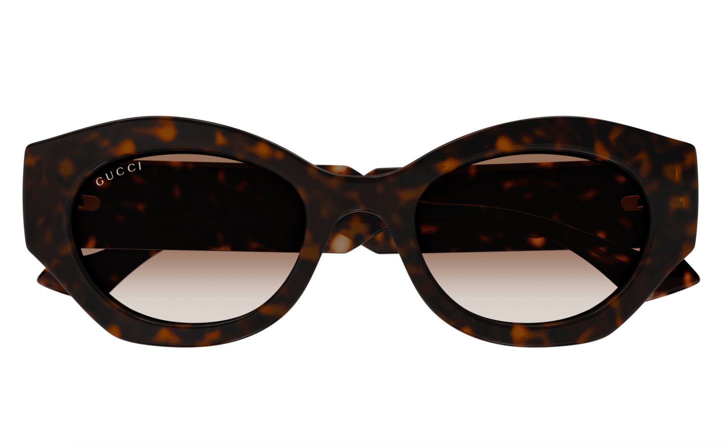 Gucci GG1553S-002 Havana & Crystal round Ladies Sunglasses
