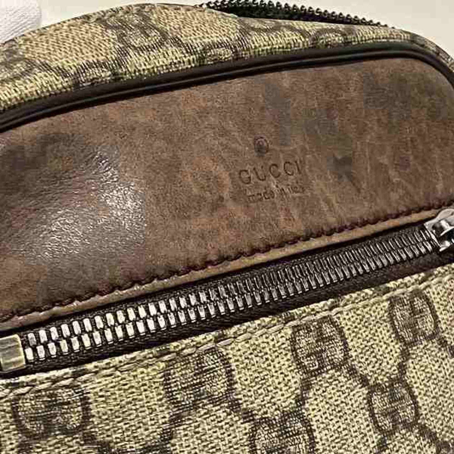Gucci GG canvas