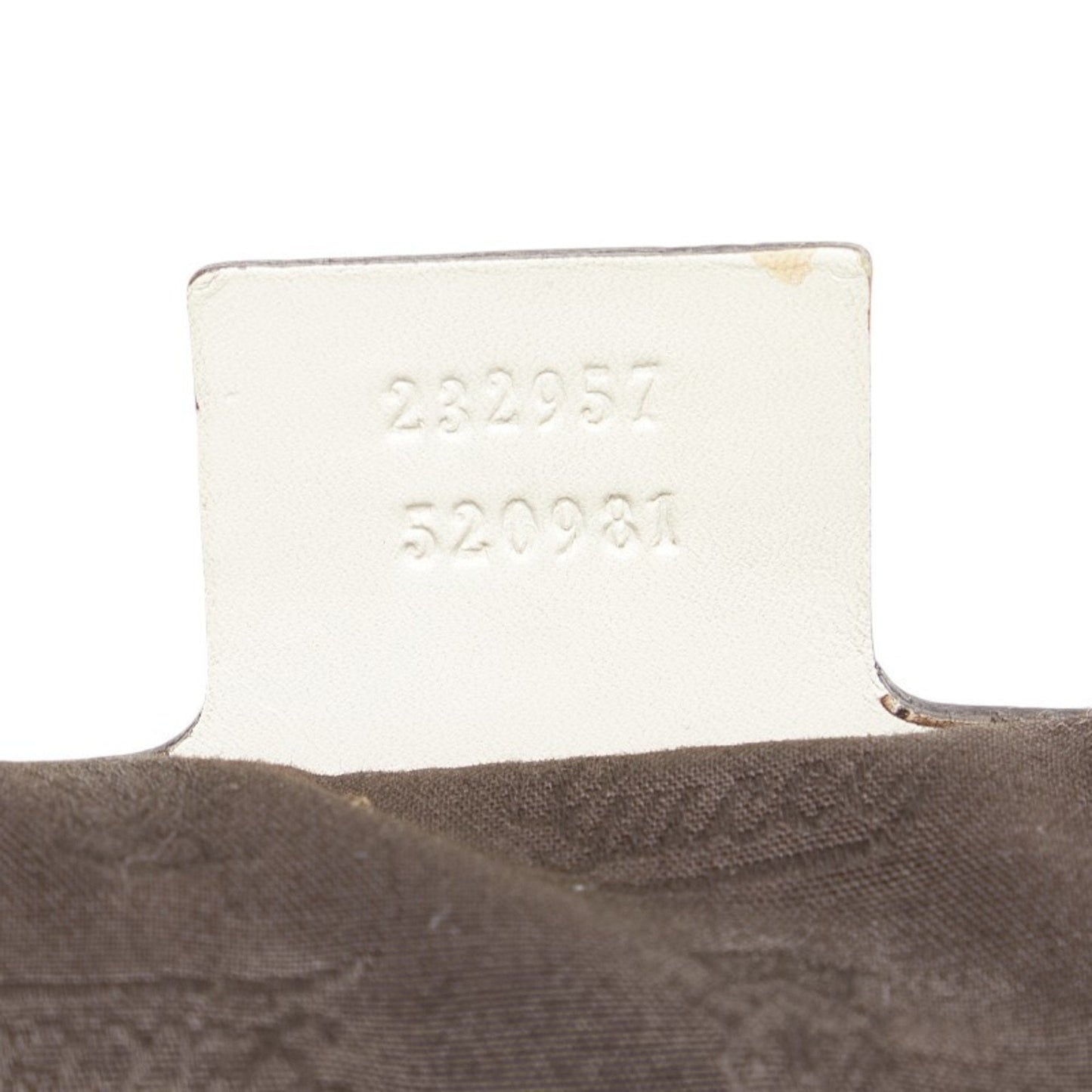 Gucci GG canvas