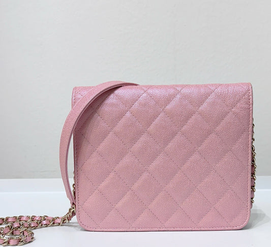 Chanel Wallet On Chain Crossbody Bag - Ewore Bags