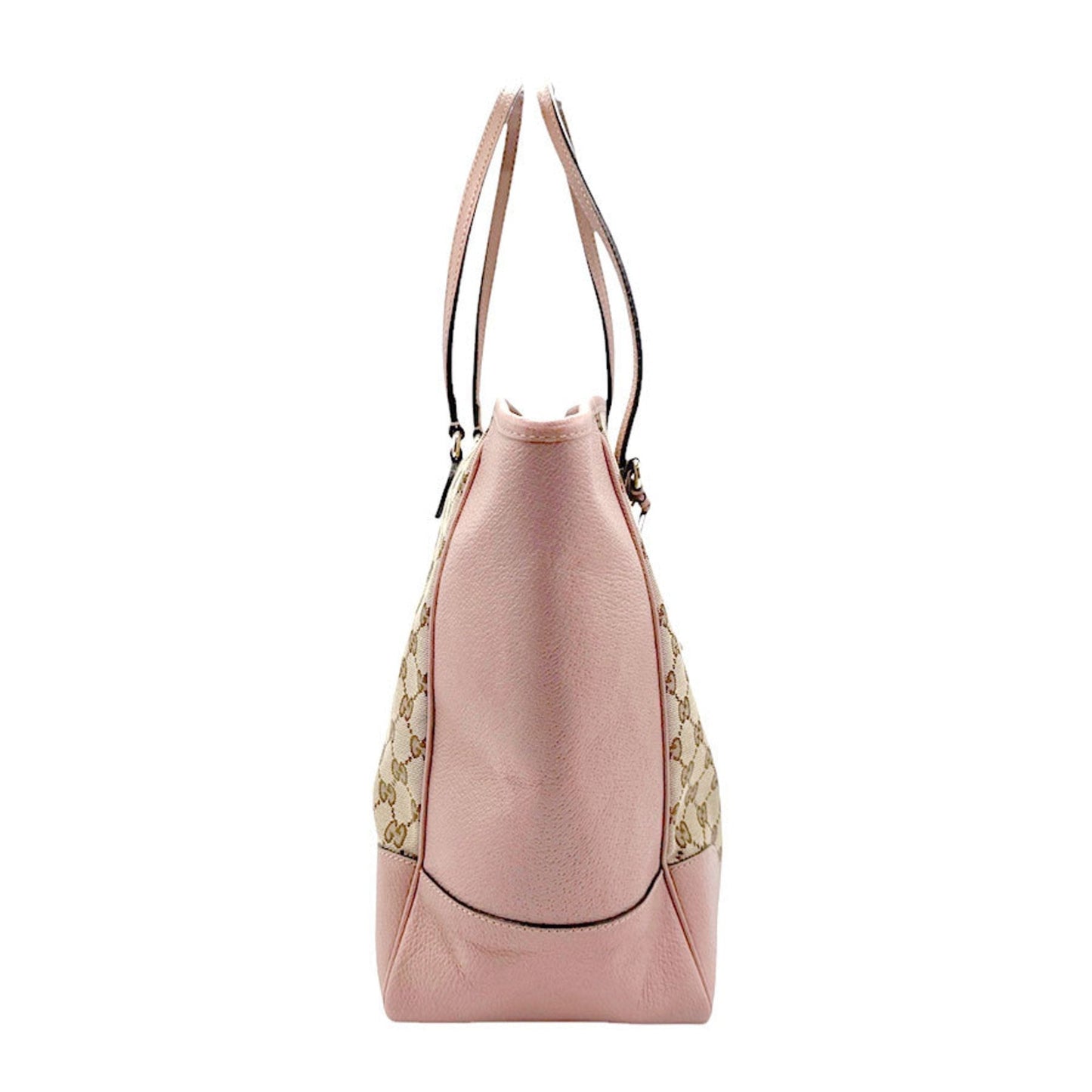 Gucci GG canvas