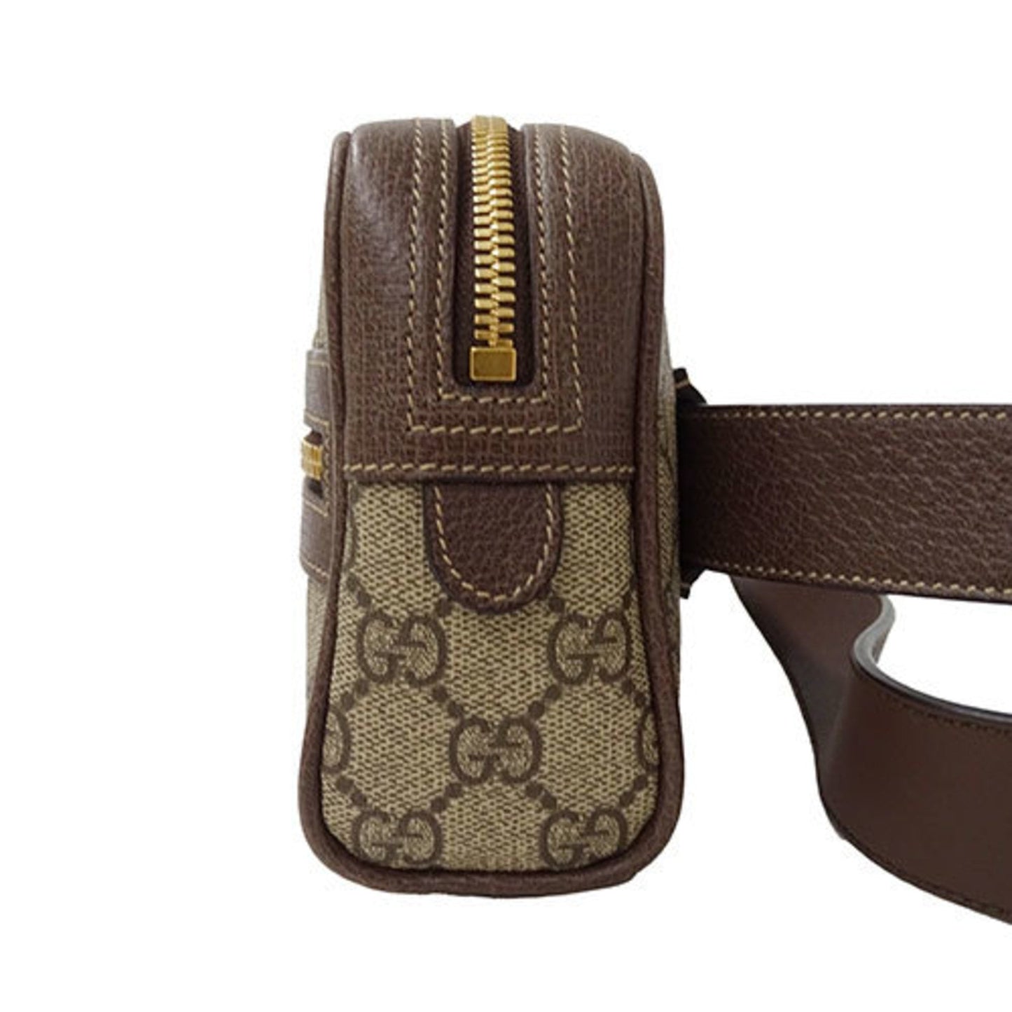 Gucci Ophidia