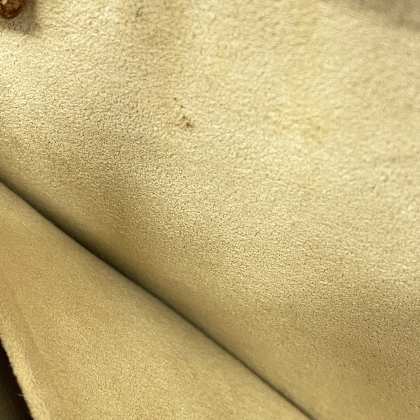 Louis Vuitton Pochette twin