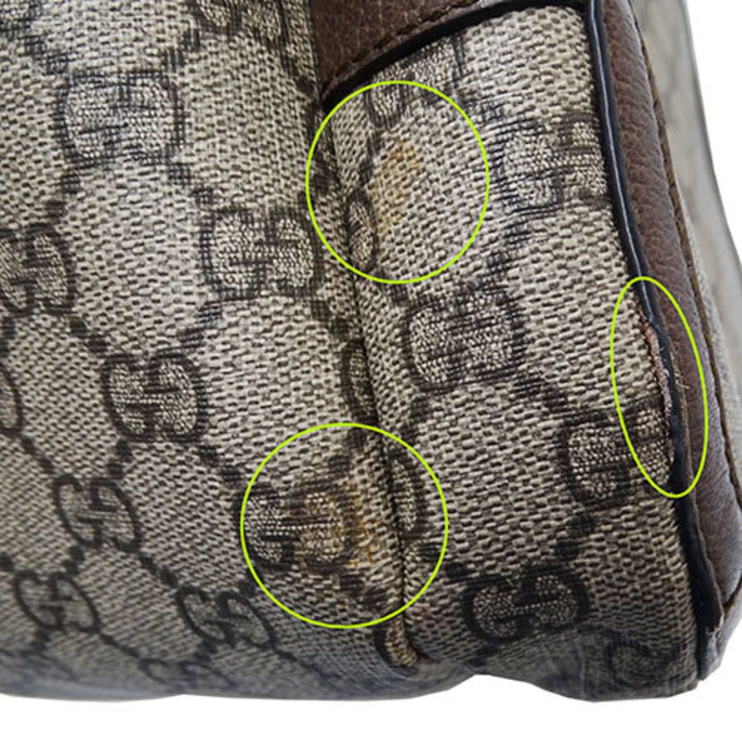 Gucci Ophidia