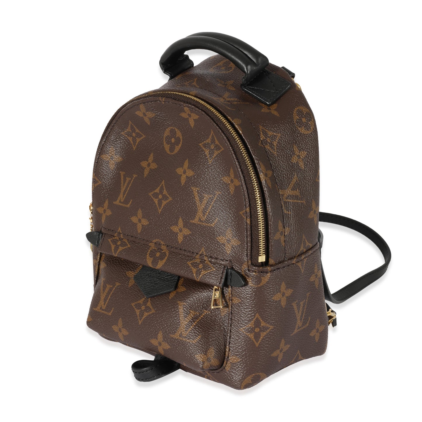 Louis Vuitton Monogram Canvas Palm Springs Mini Backpack