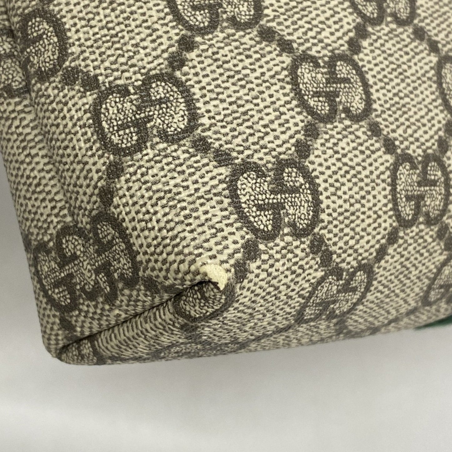 Gucci Ophidia