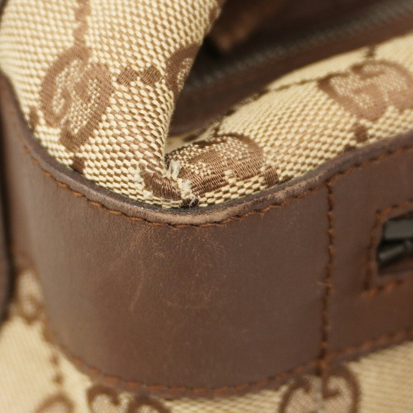 Gucci GG canvas