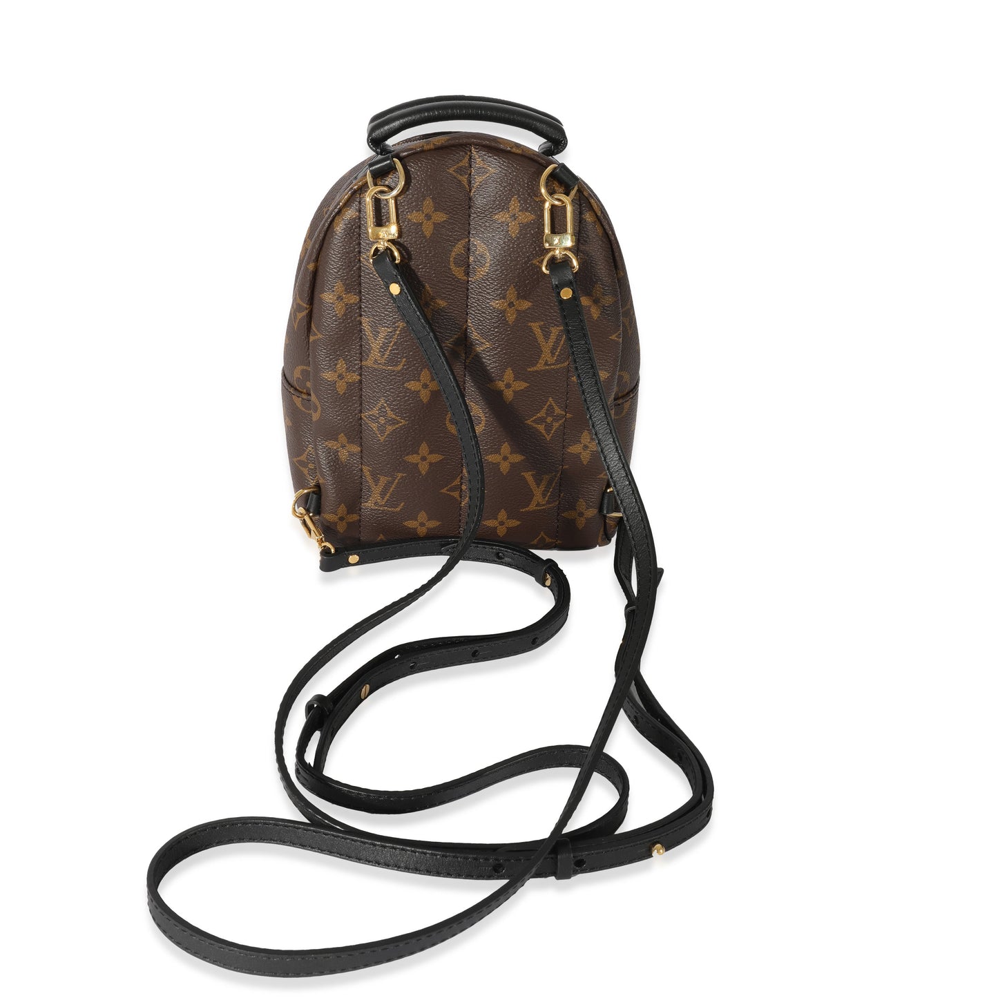 Louis Vuitton Monogram Mini Palm Spring Backpack
