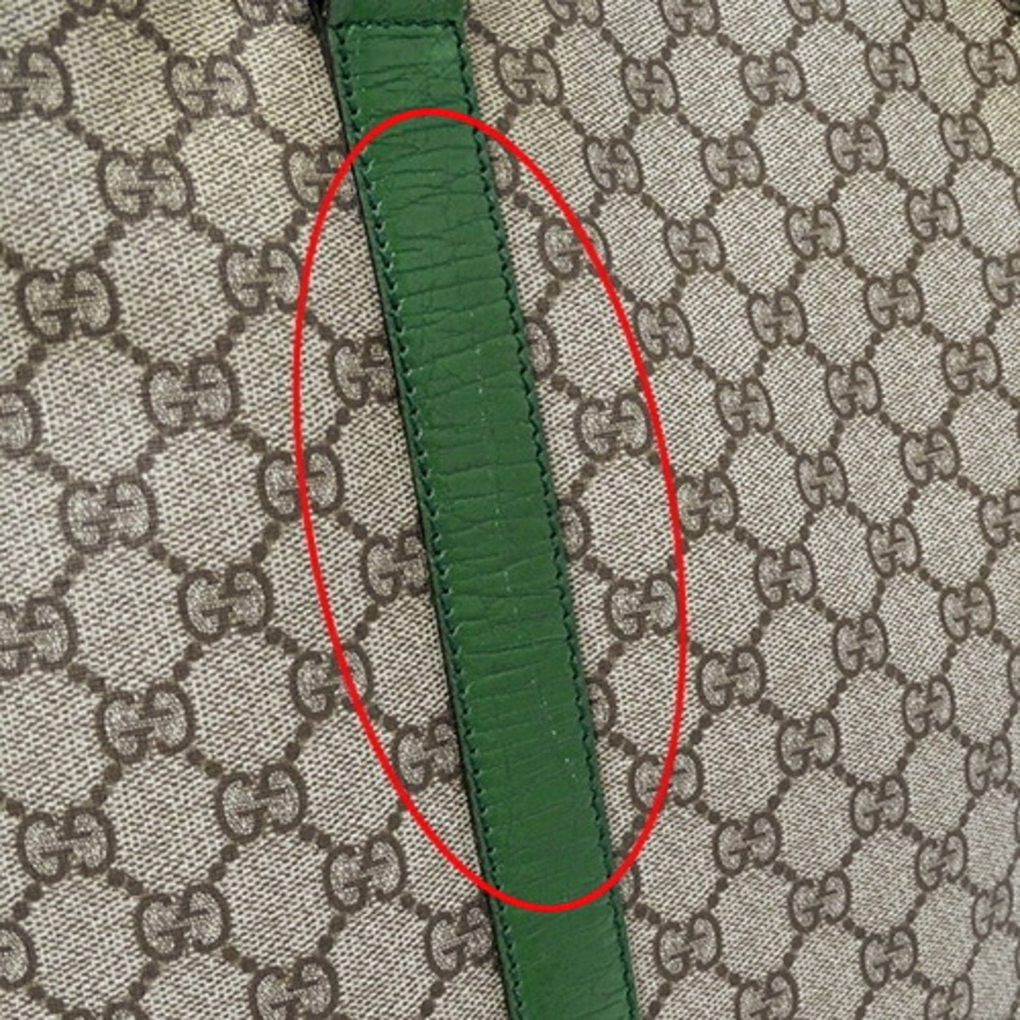Gucci GG canvas