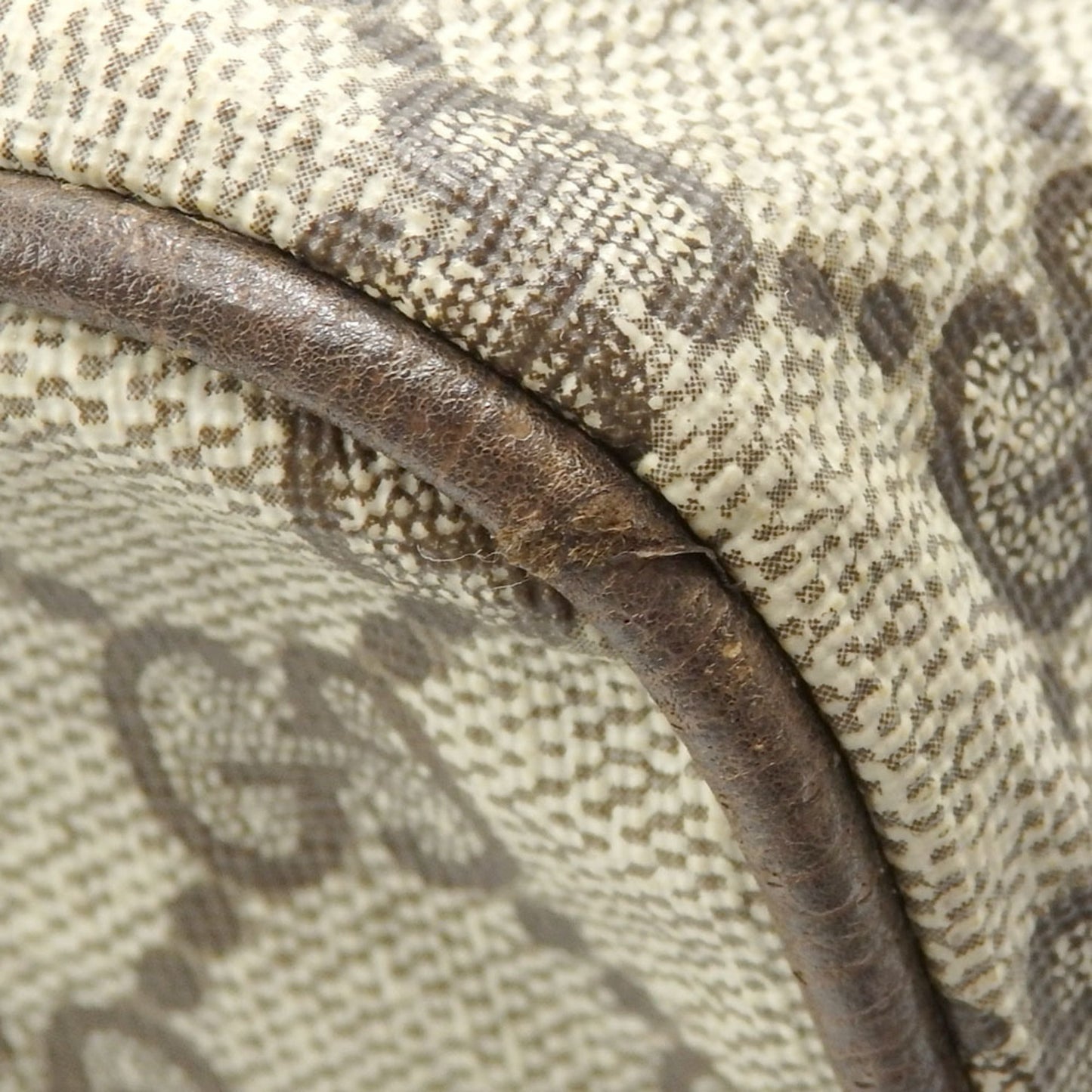 Gucci Ophidia