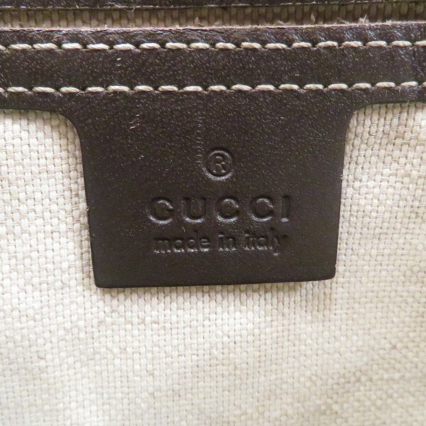 Gucci GG canvas