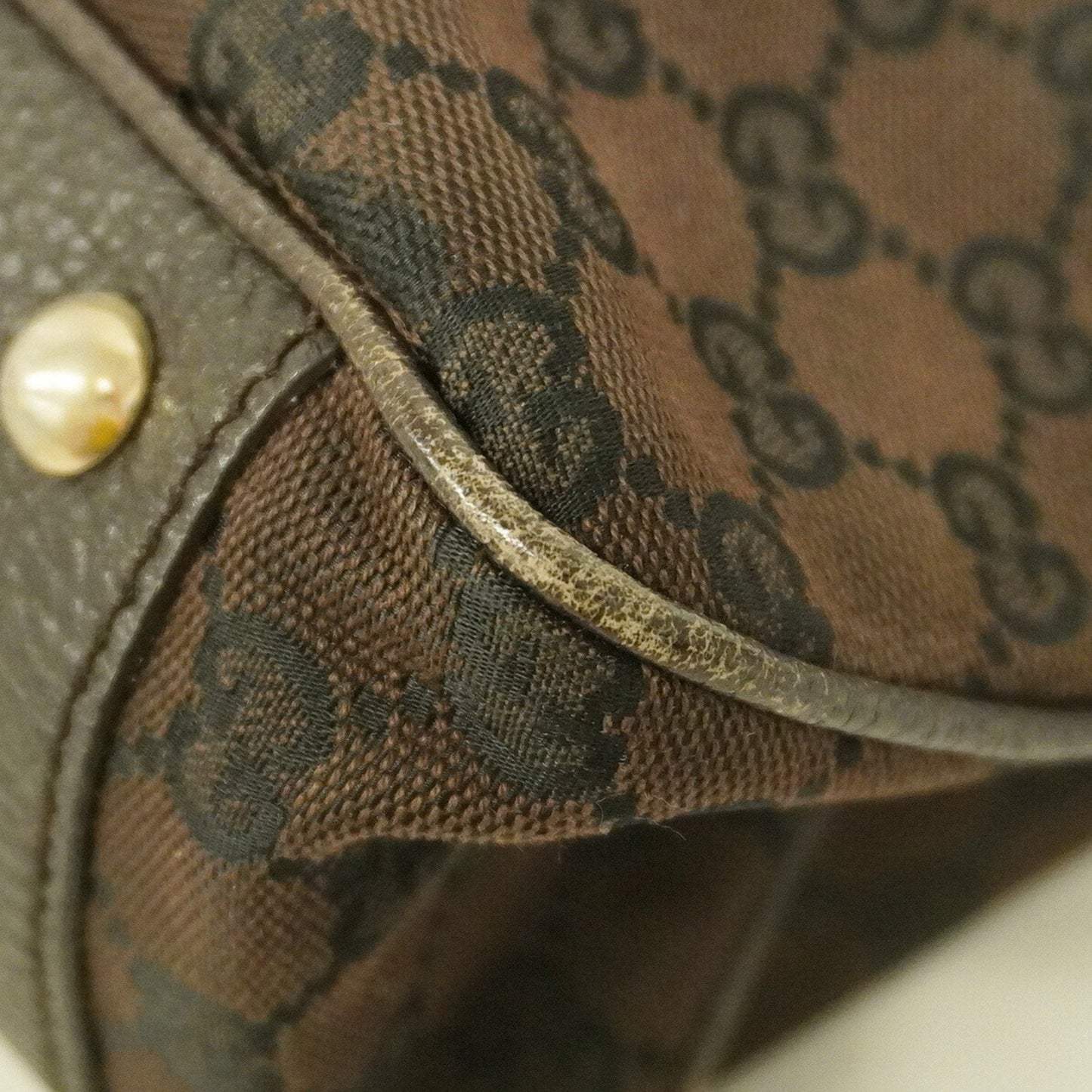 Gucci GG canvas
