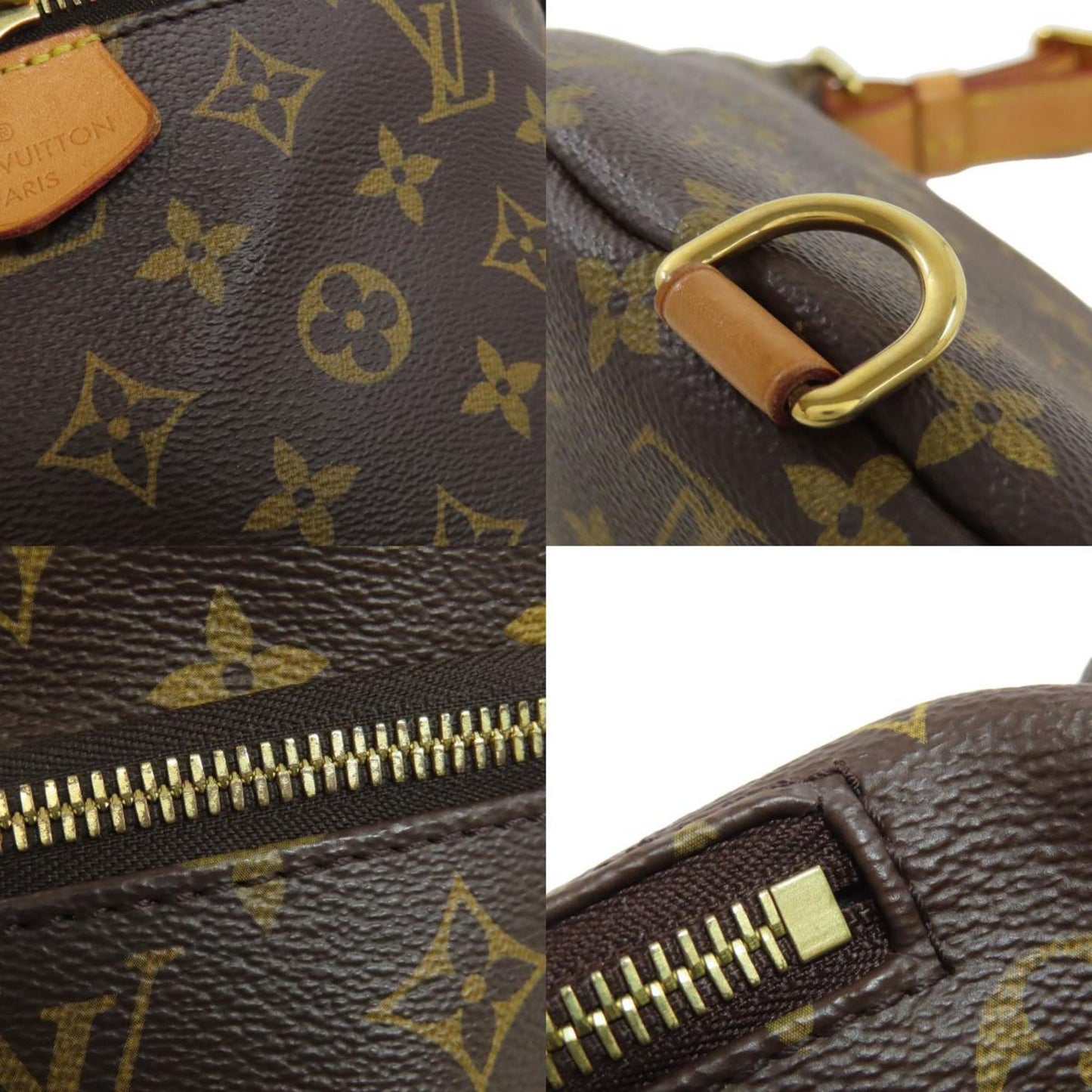 Louis Vuitton Bum Bag / Sac Ceinture