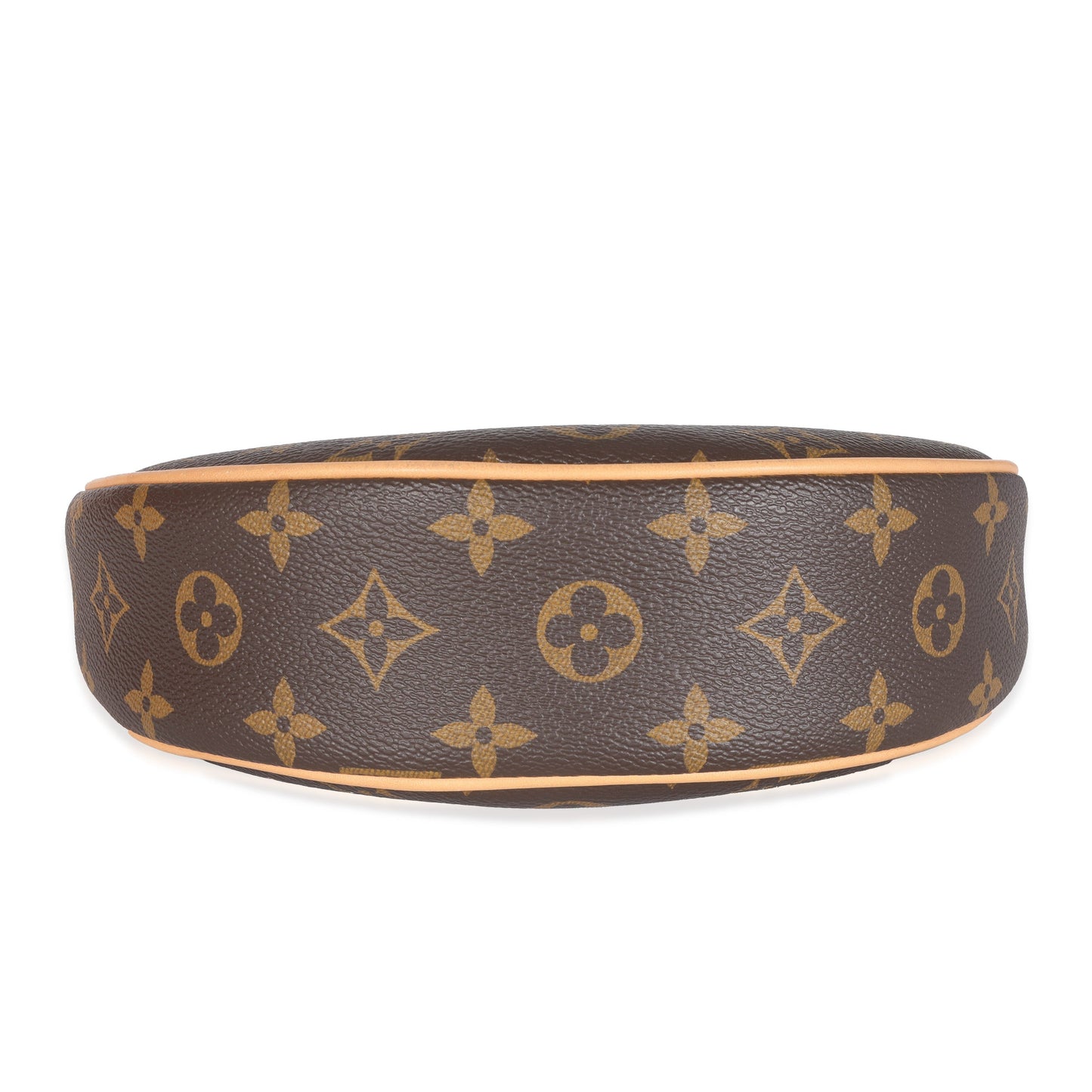 Louis Vuitton  Monogram Canvas Loop Bag