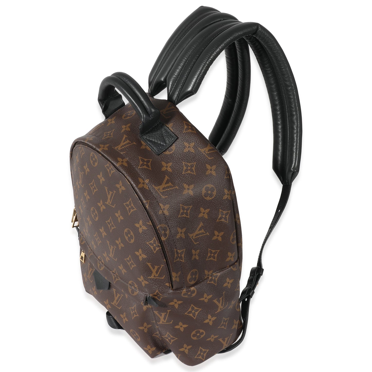 Louis Vuitton Monogram Canvas Palm Springs MM