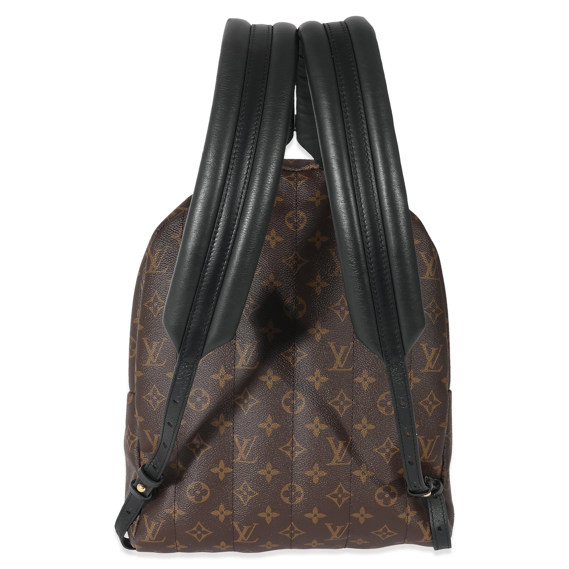 Louis Vuitton Monogram Canvas Palm Springs MM