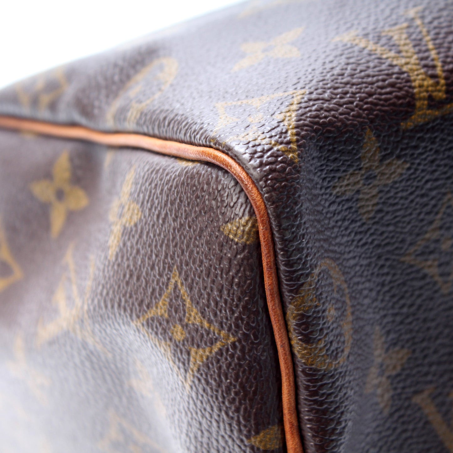 Louis Vuitton Speedy 25 Monogram