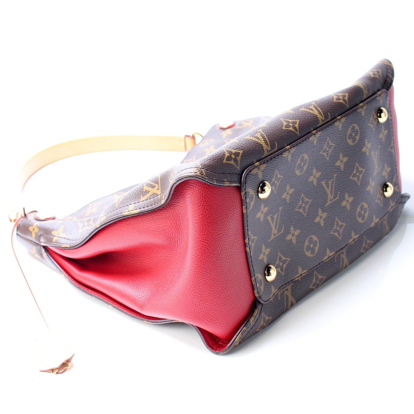 Louis Vuitton Gaia Monogram