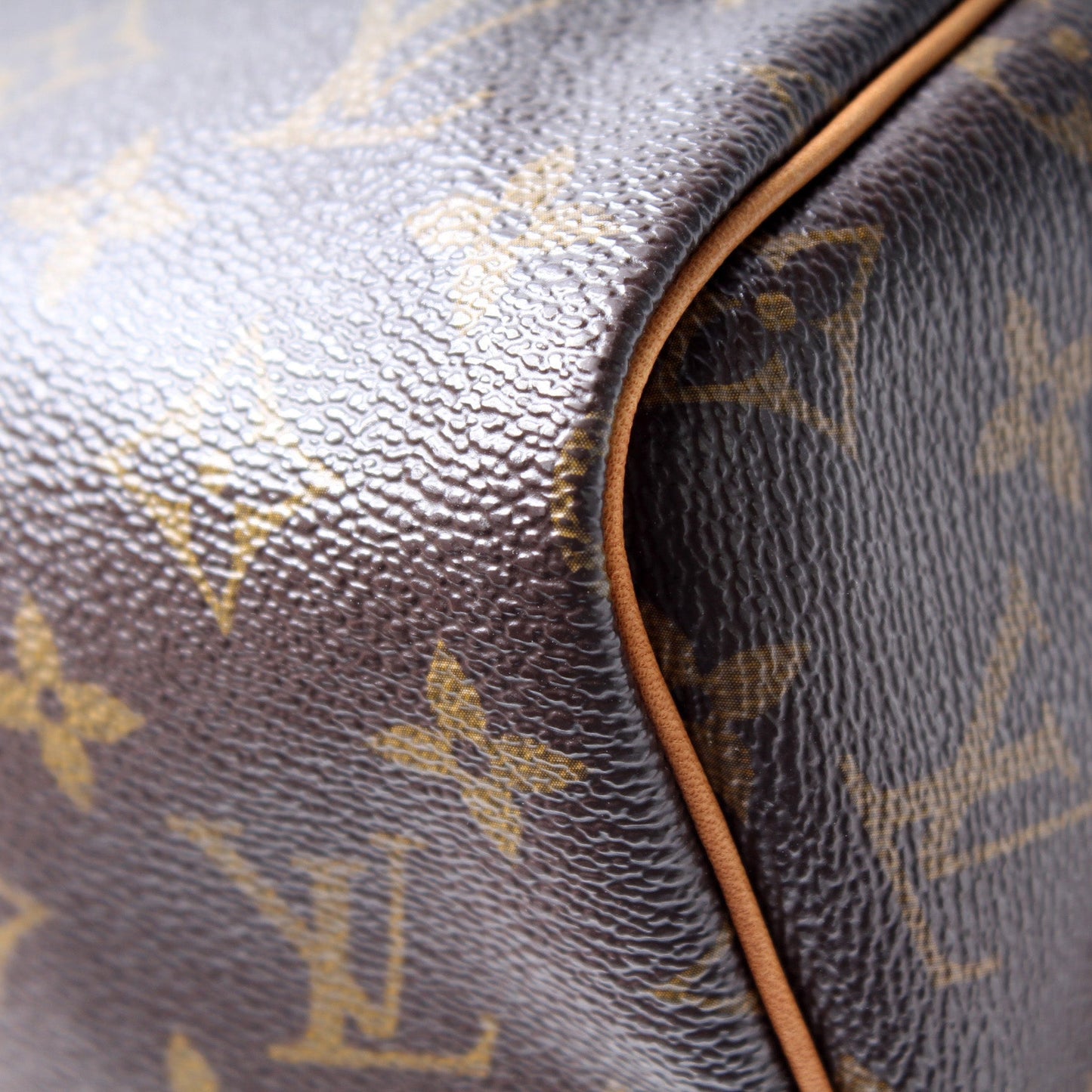 Louis Vuitton Speedy 30 Monogram