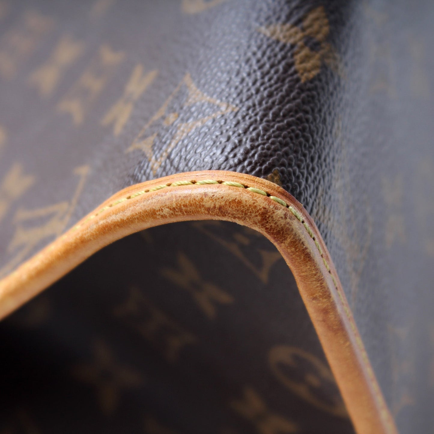 Louis Vuitton Popincourt Haut Monogram