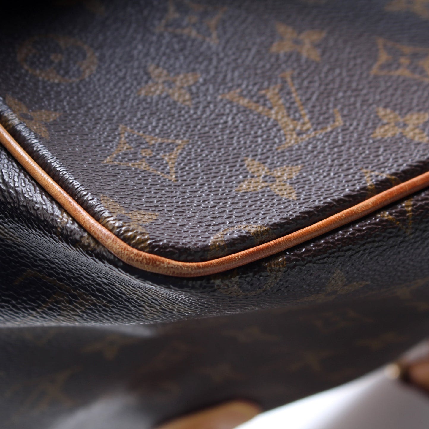 Louis Vuitton Palermo PM Monogram