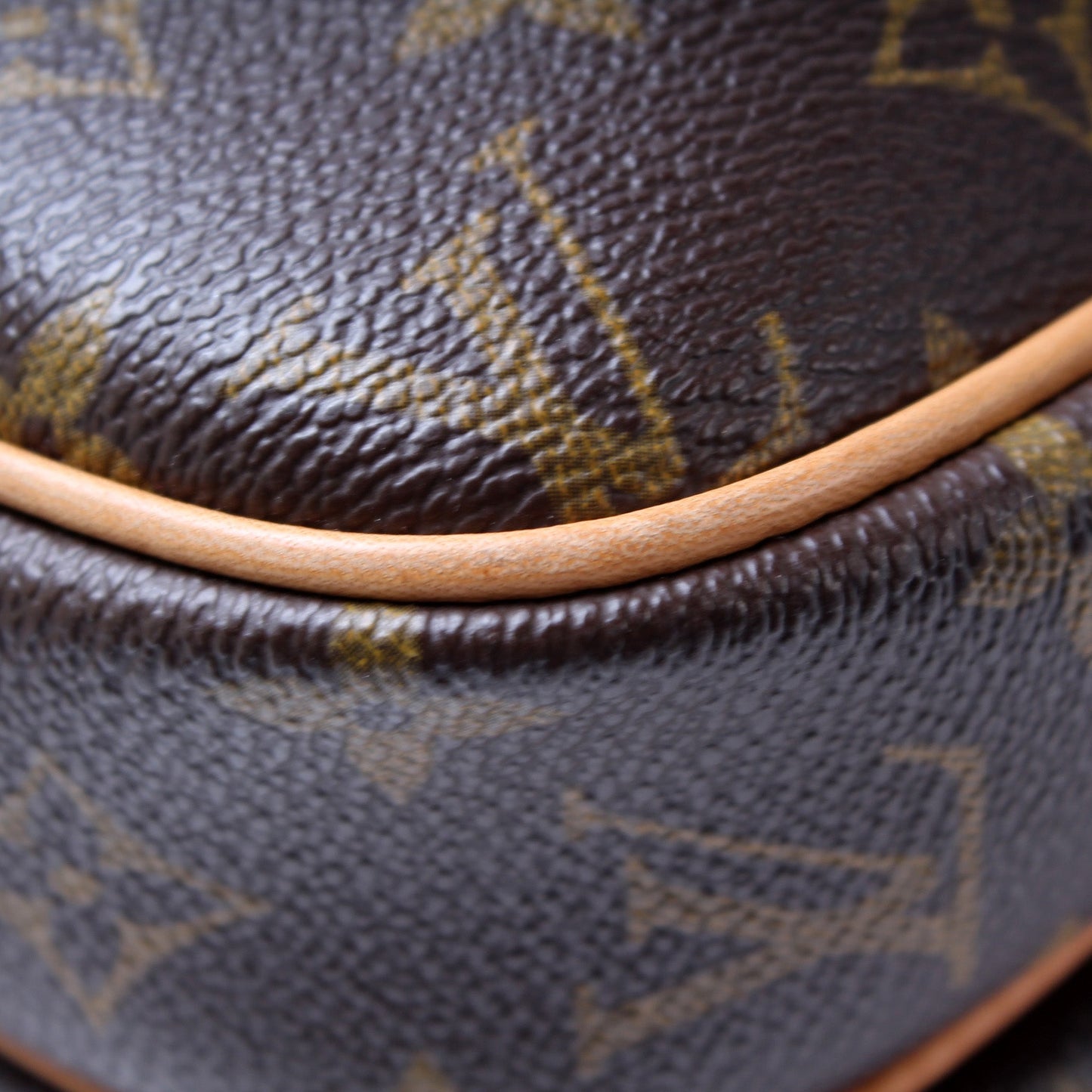 Louis Vuitton Reporter PM Monogram