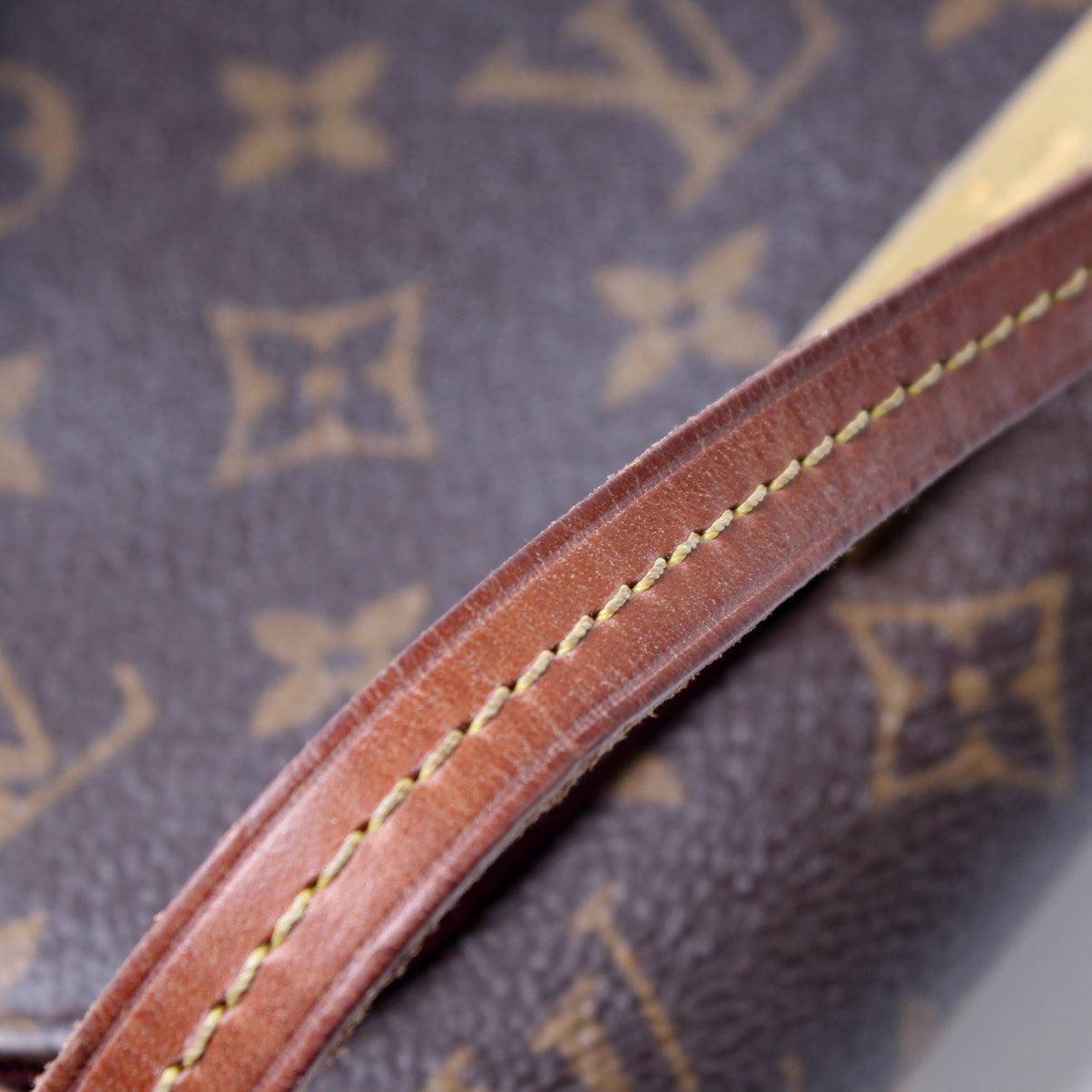 Louis Vuitton Favorite PM Monogram