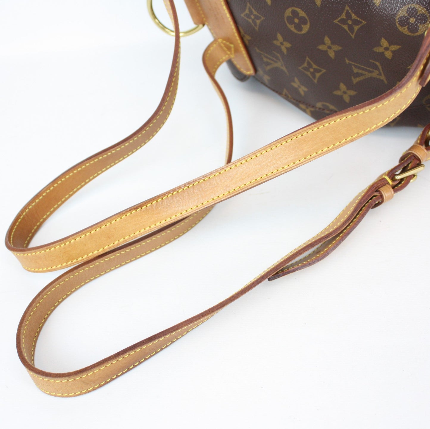 Louis Vuitton Montsouris MM Monogram