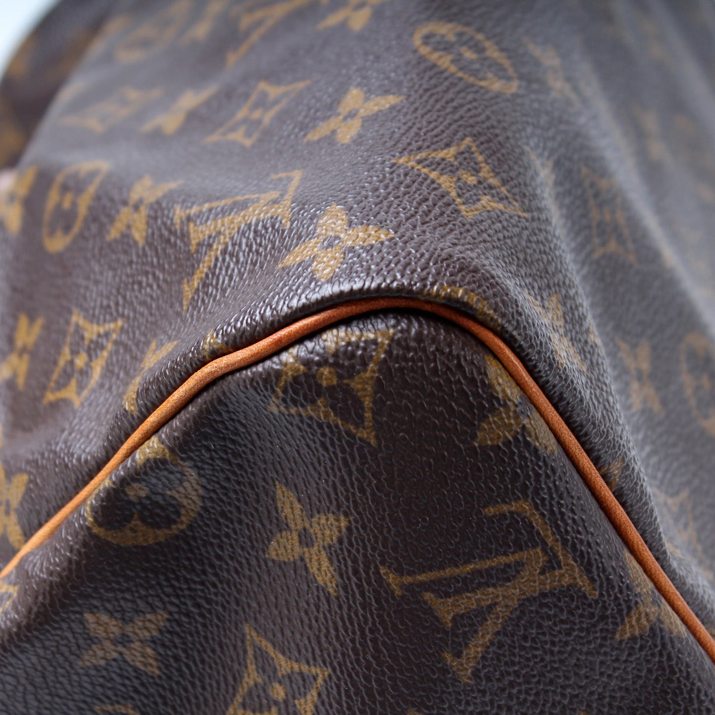 Louis Vuitton Speedy 30 Monogram