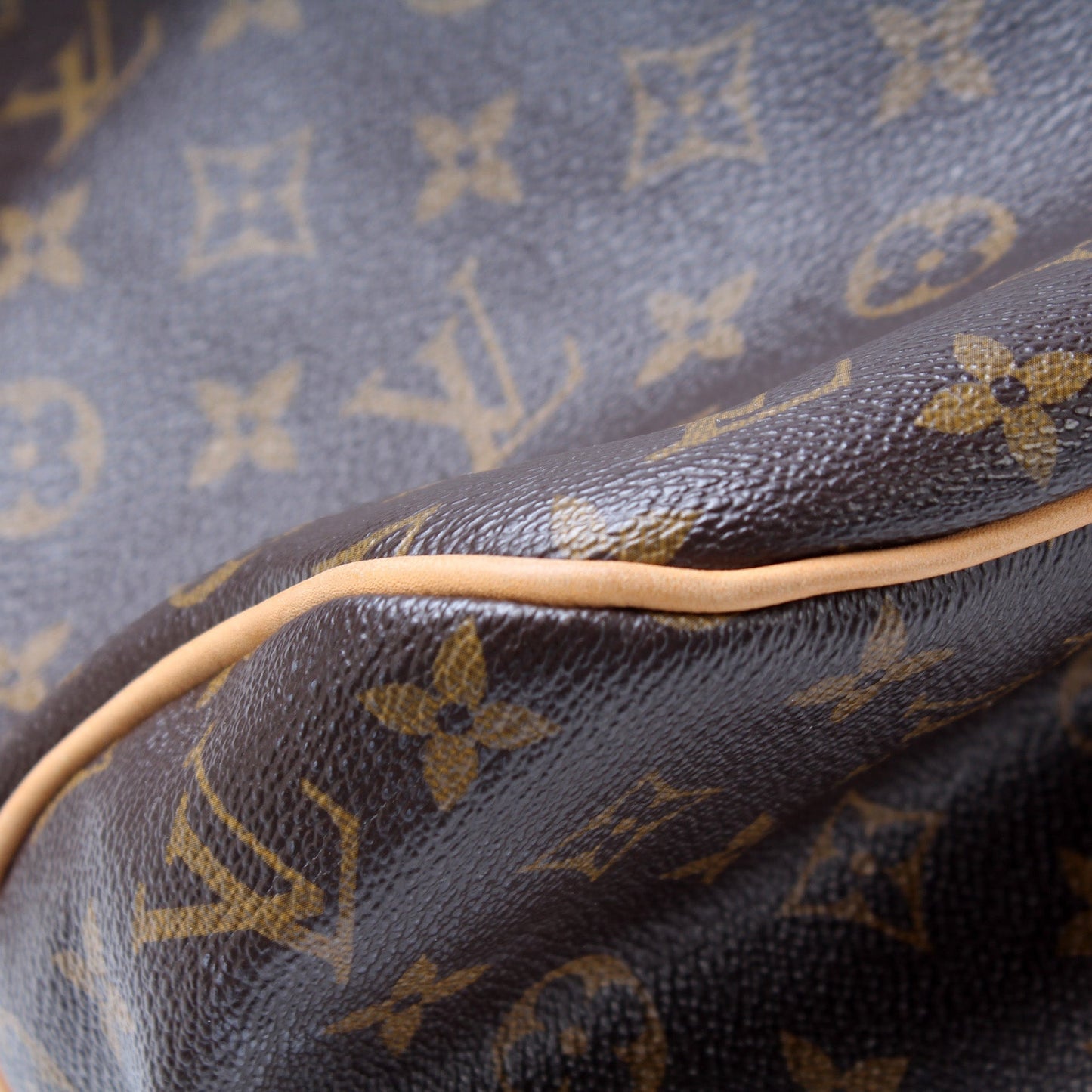 Louis Vuitton Delightful MM Monogram