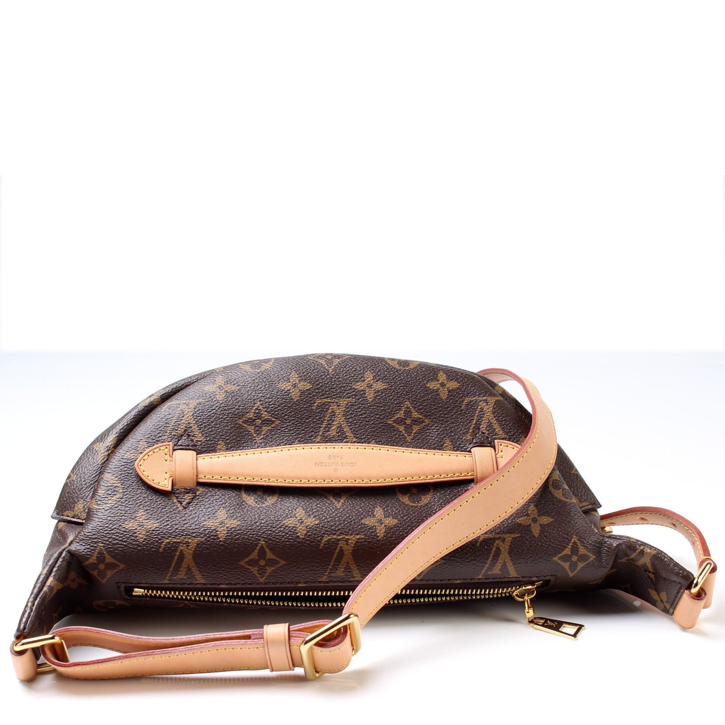 Louis Vuitton Bumbag Monogram