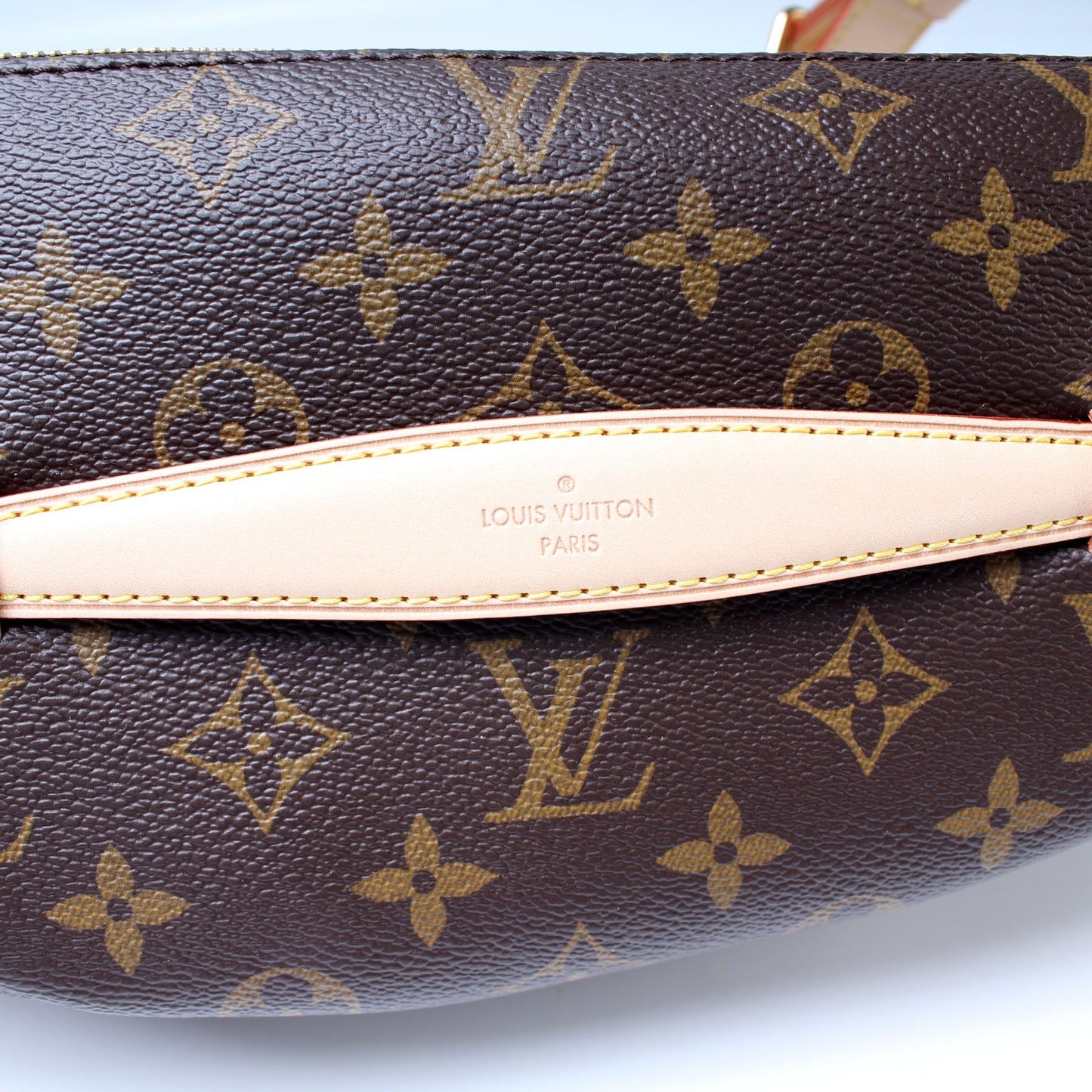 Louis Vuitton Bumbag Monogram