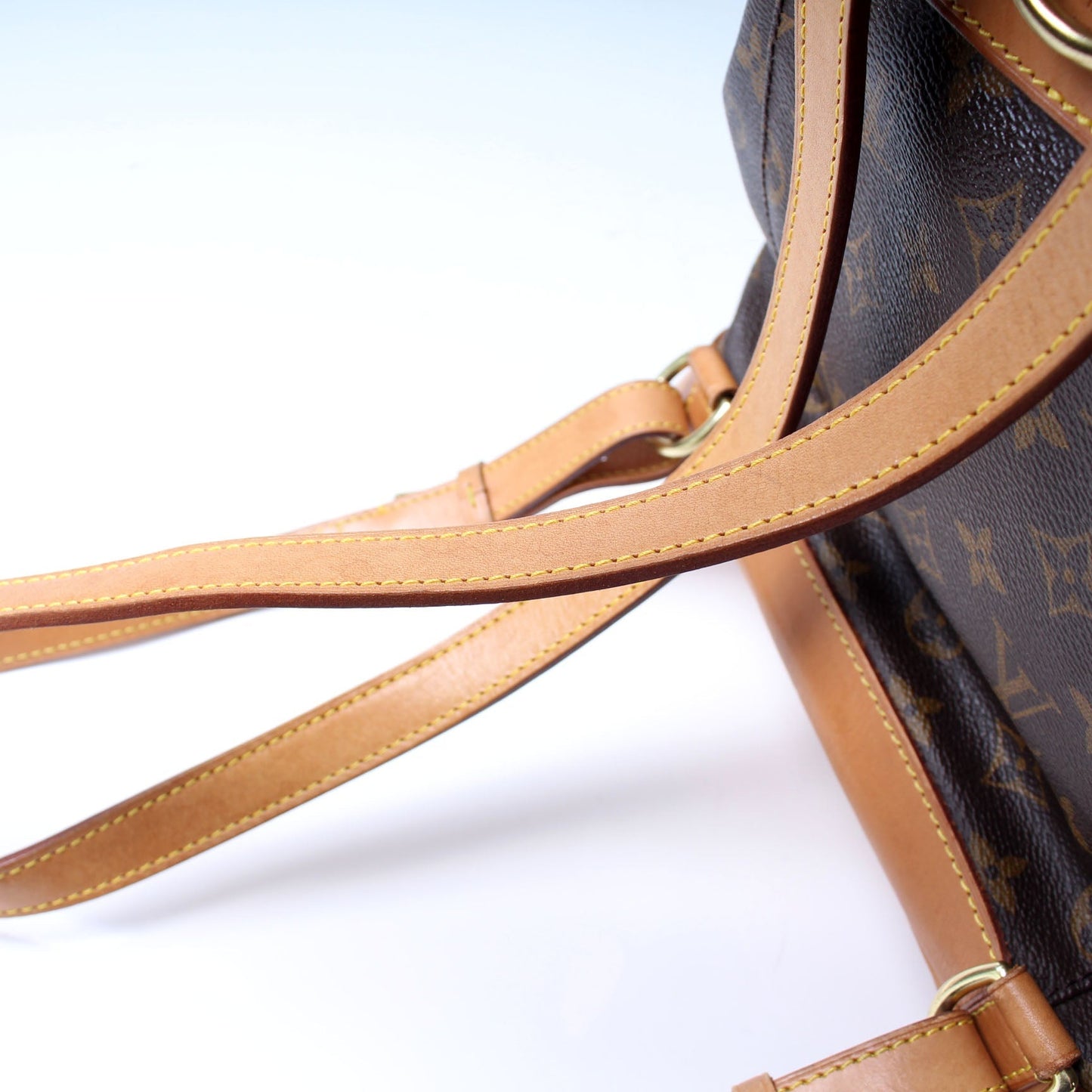 Louis Vuitton Montsouris MM Monogram