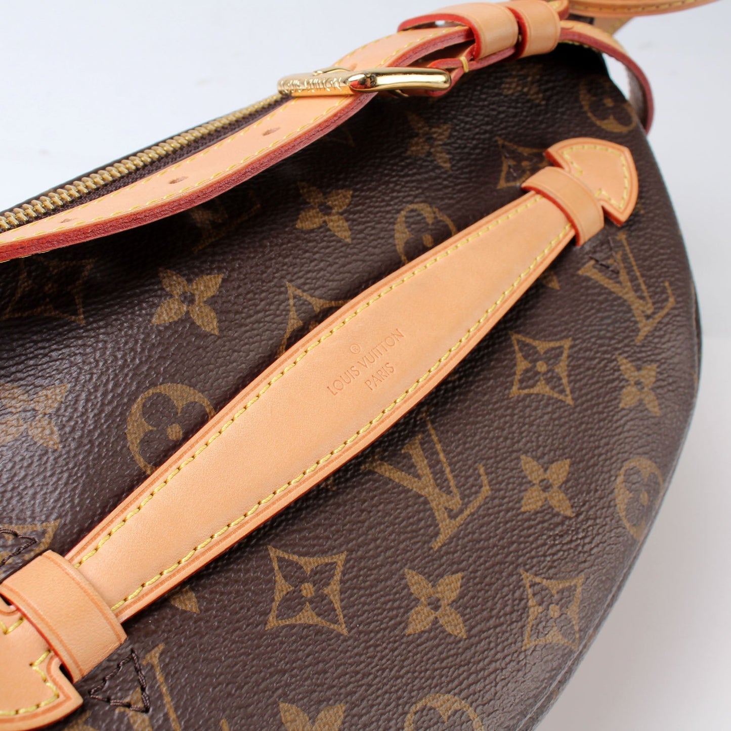Louis Vuitton Bumbag Monogram