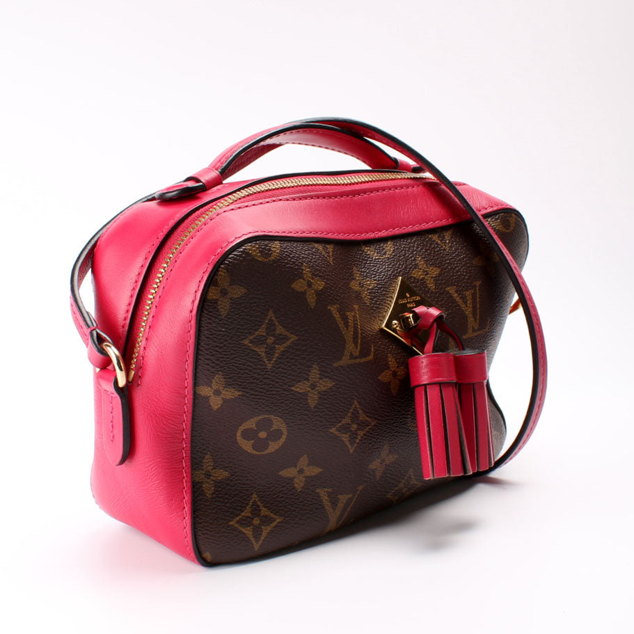 Louis Vuitton Saintogne Monogram