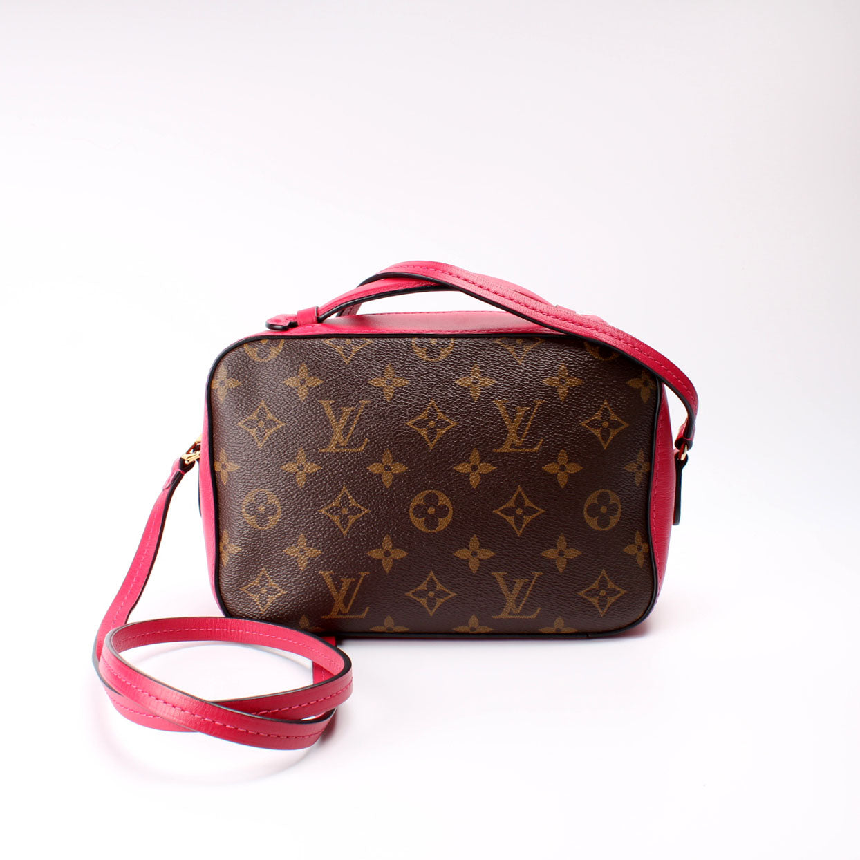 Louis Vuitton Saintogne Monogram