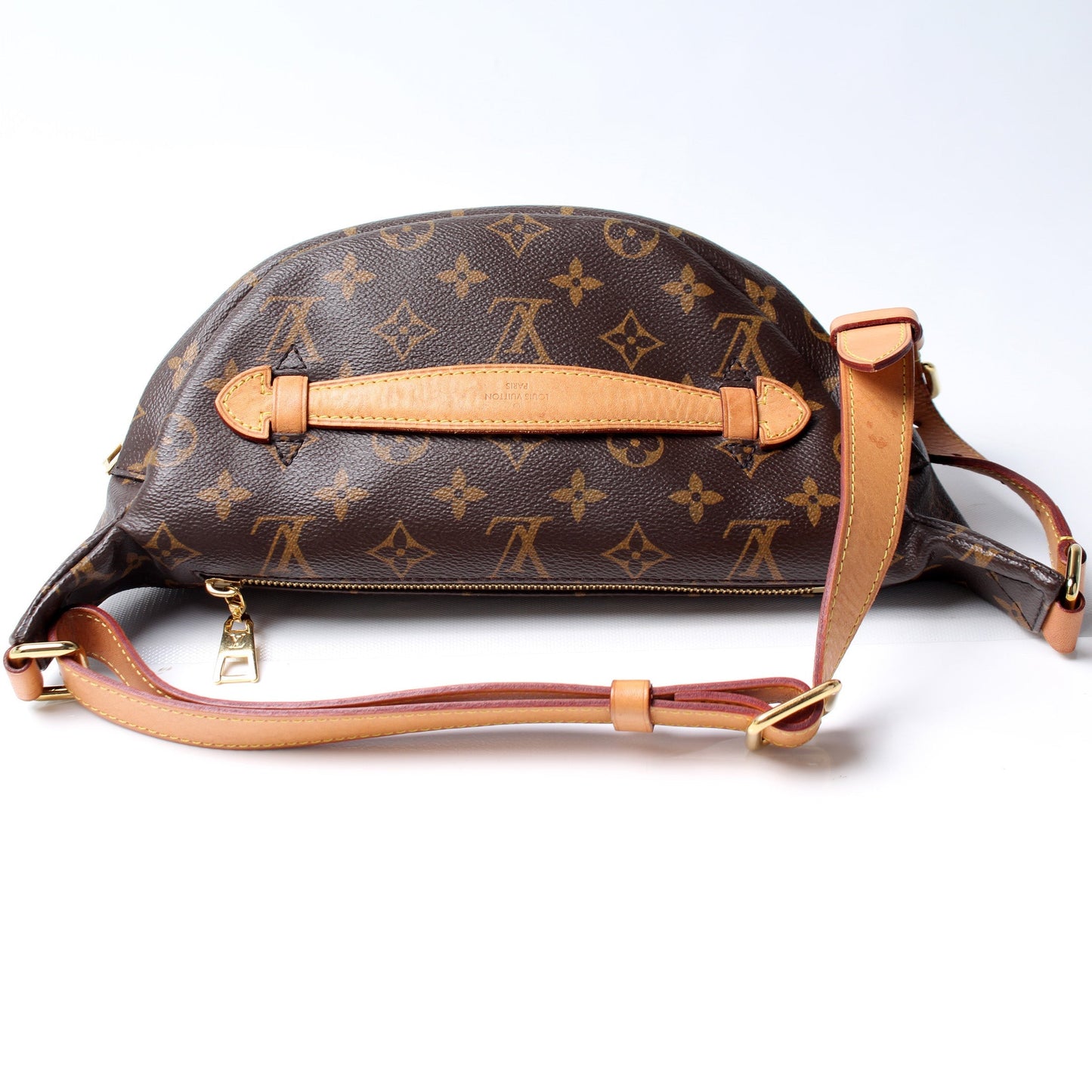 Louis Vuitton Bumbag Monogram