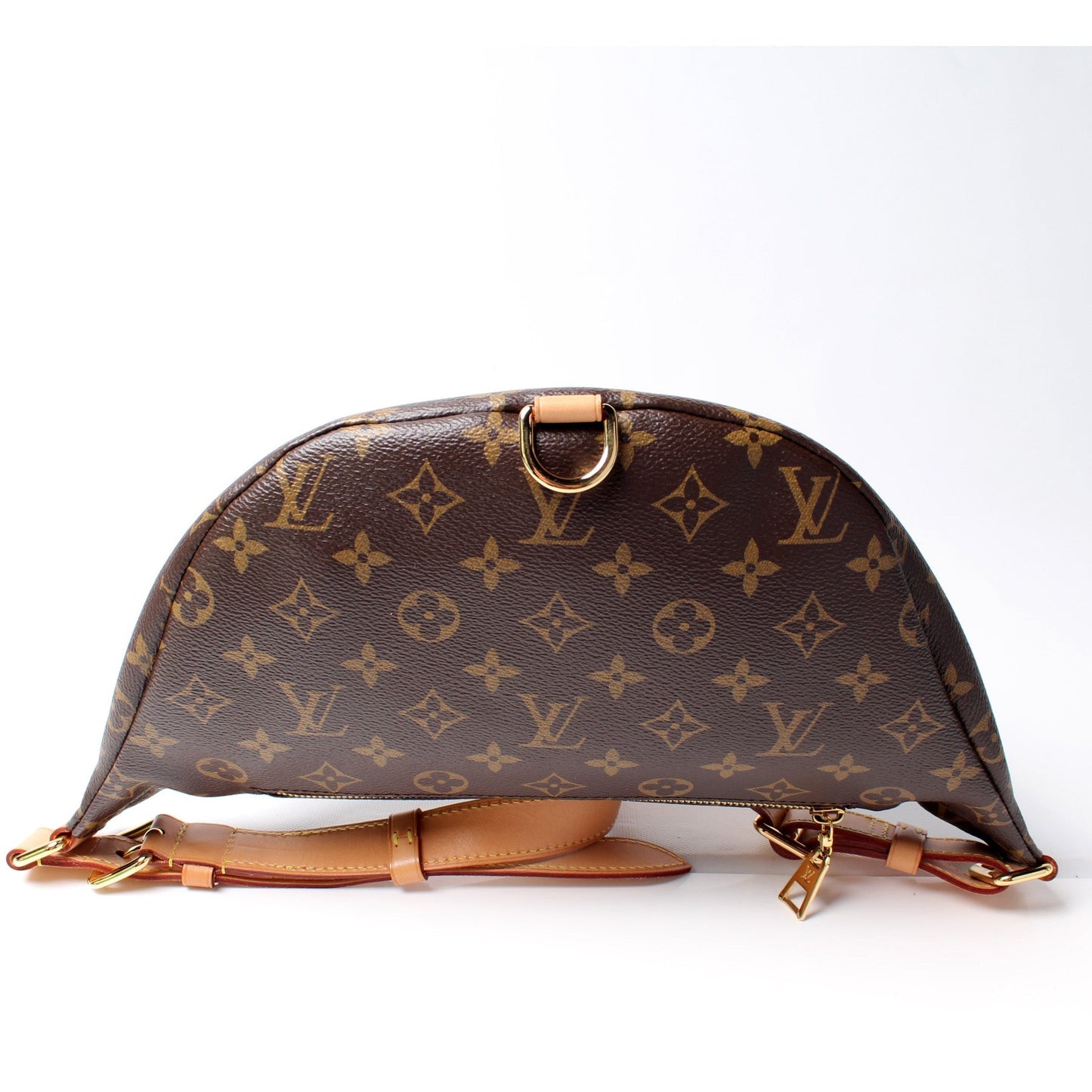 Louis Vuitton Bumbag Monogram