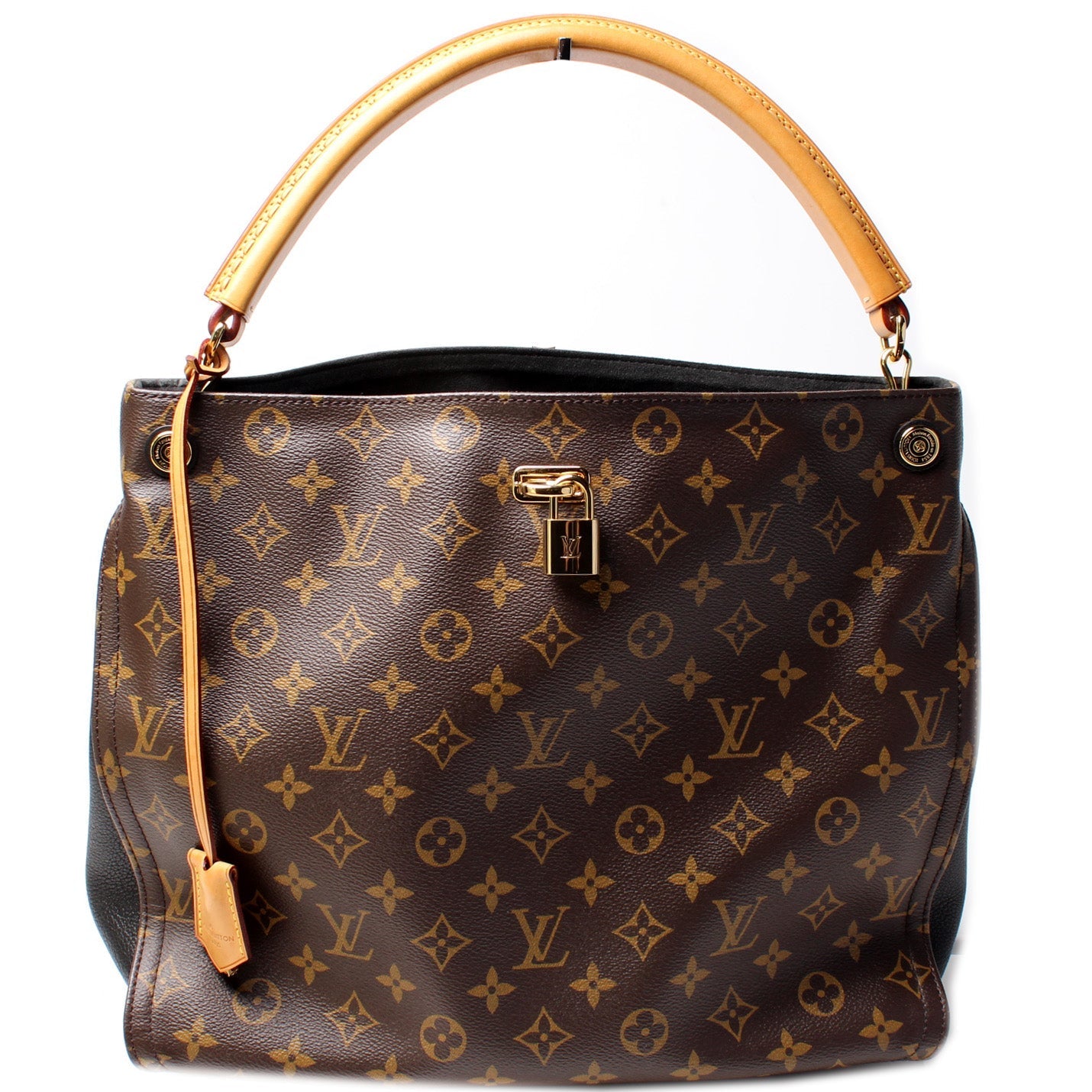 Louis Vuitton Gaia Monogram