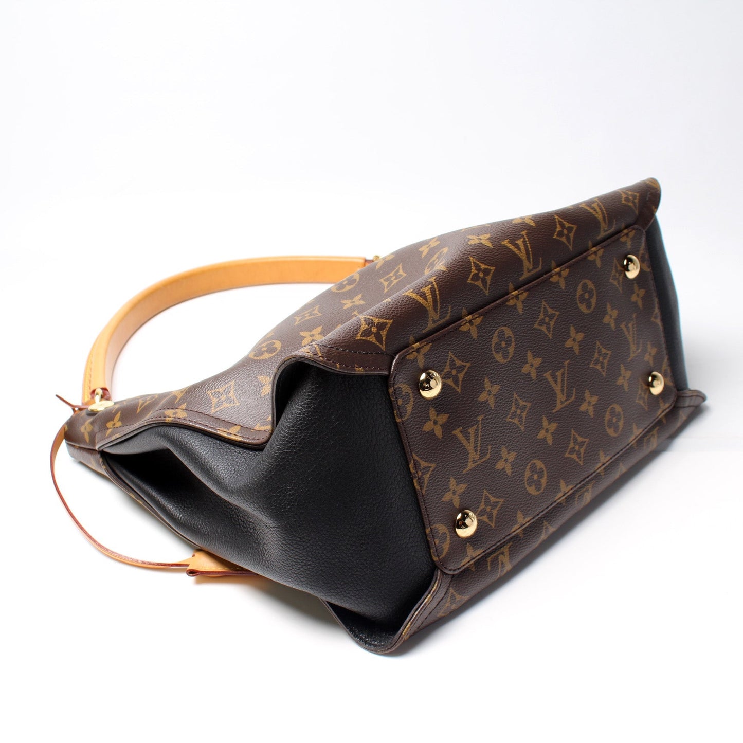 Louis Vuitton Gaia Monogram