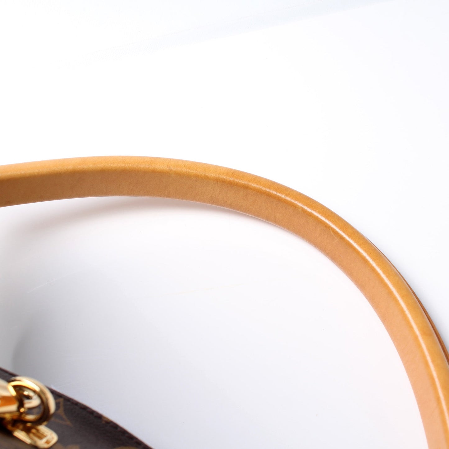 Louis Vuitton Gaia Monogram