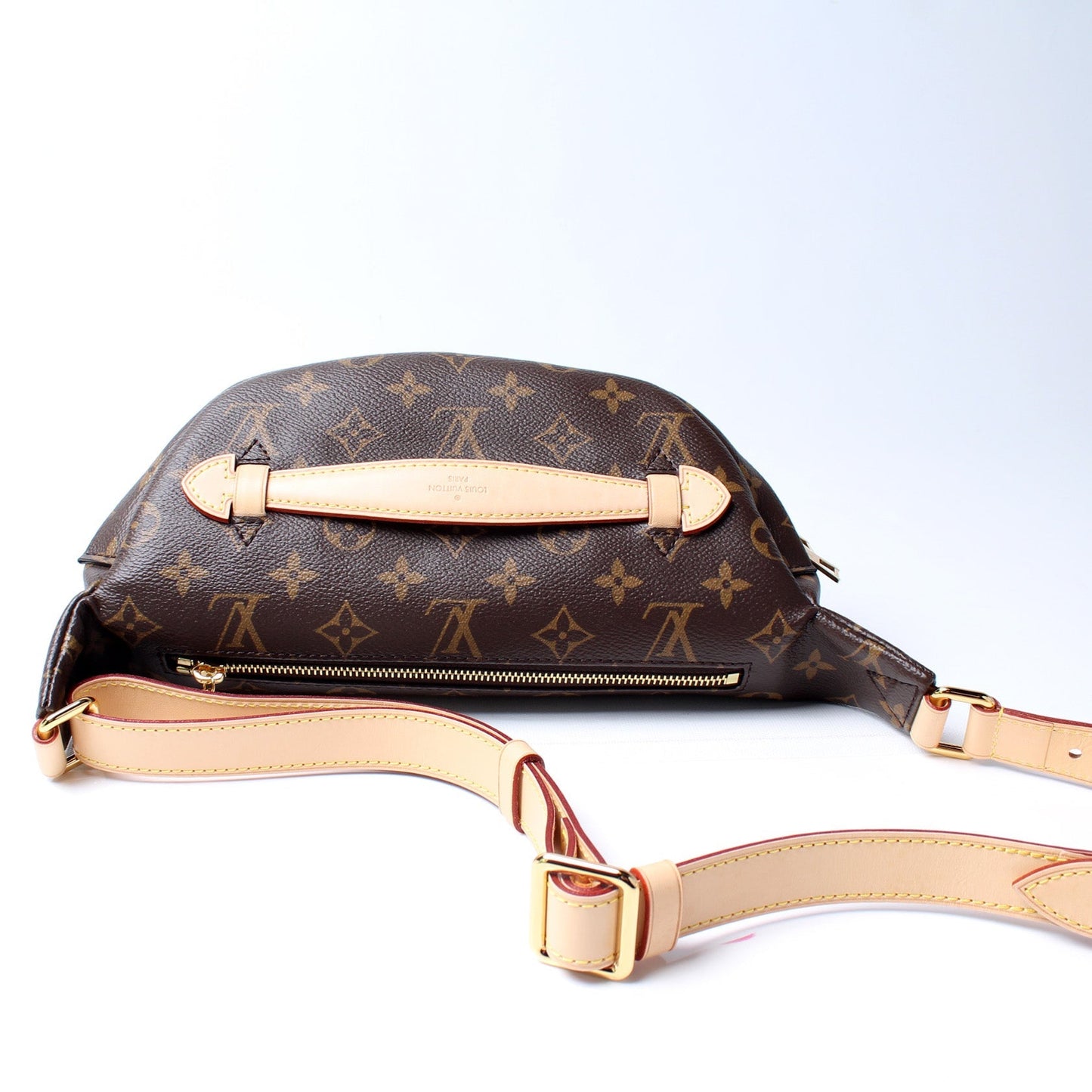 Louis Vuitton Bumbag Monogram