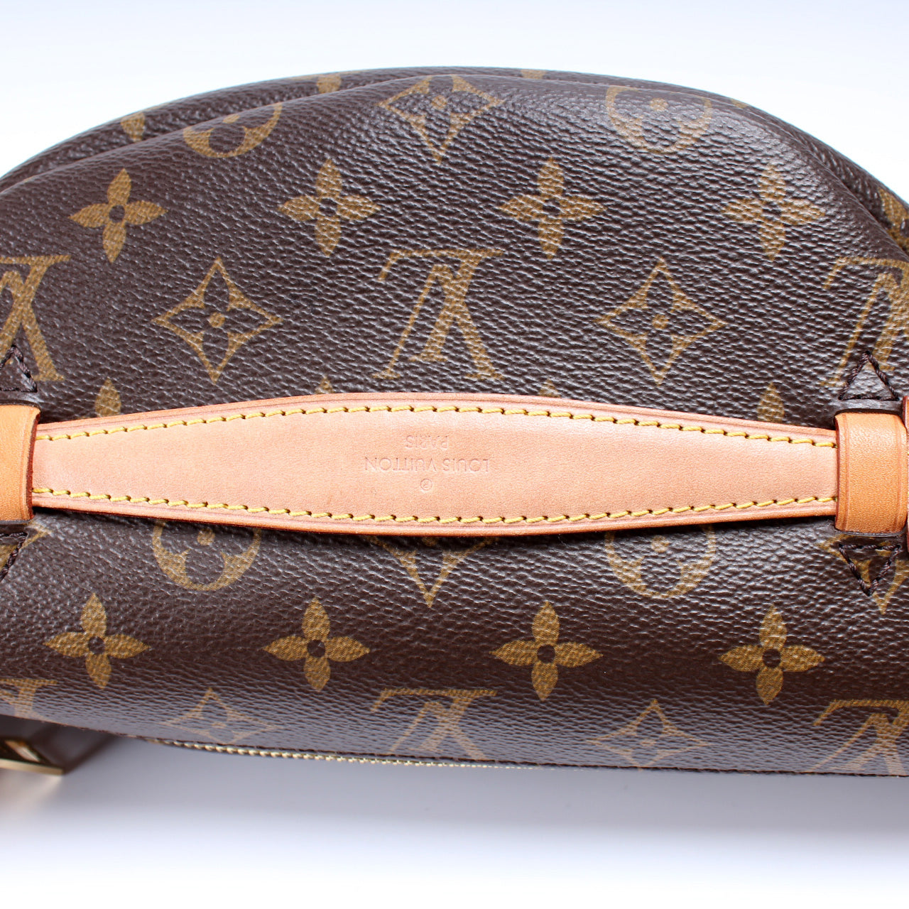 Louis Vuitton Bumbag Monogram