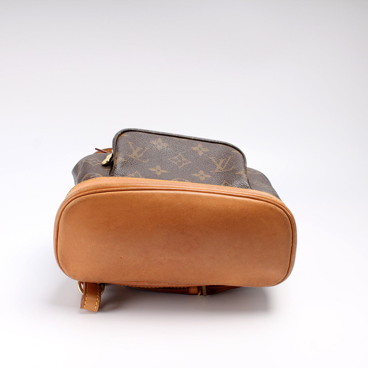 Louis Vuitton Montsouris PM Monogram